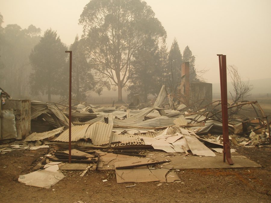 Bushfire aftermath at Narbethong, Murrindindi Shire, February 2009